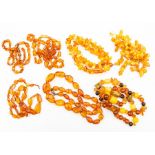 A collection of various amber bead necklaces, comprising butterscotch and clear versions, graduated,