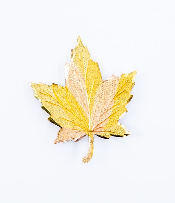 A two tone maple leaf brooch, textured 10k gold, size approx 25mm x 35mm, total gross weight