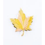 A two tone maple leaf brooch, textured 10k gold, size approx 25mm x 35mm, total gross weight