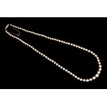 An Edwardian single-row pearl necklace, the off-round/baroque shaped pearls graduating between