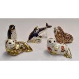 Royal Crown Derby paperweights to include; Seal, Harbour Seal, limited edition 1156/4500, Walrus,