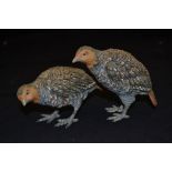 Two Austrian cold painted partridges.