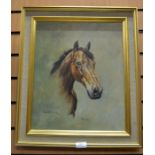 Original Oil on canvas of a racehorse entitled "Pickles" by Elizabeth Sharpe, dated 1980.