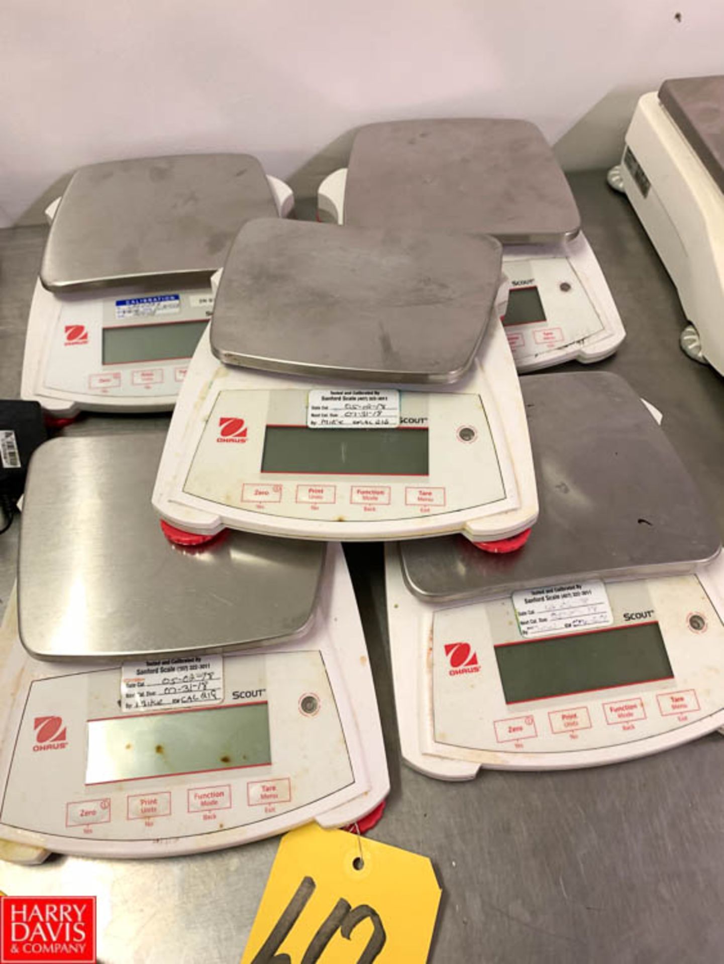 Ohaus Scout Digital Scales Rigging Prices: 50