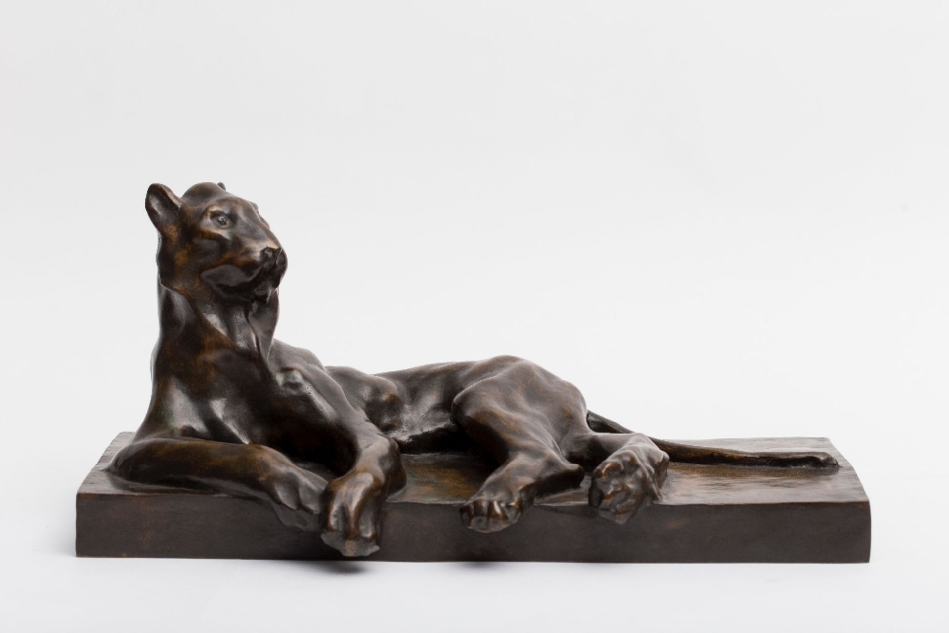 Jean Gaspar (1861-1931) and Verbeyst Founder Young tiger lying down; Bronze sculpture with golden-