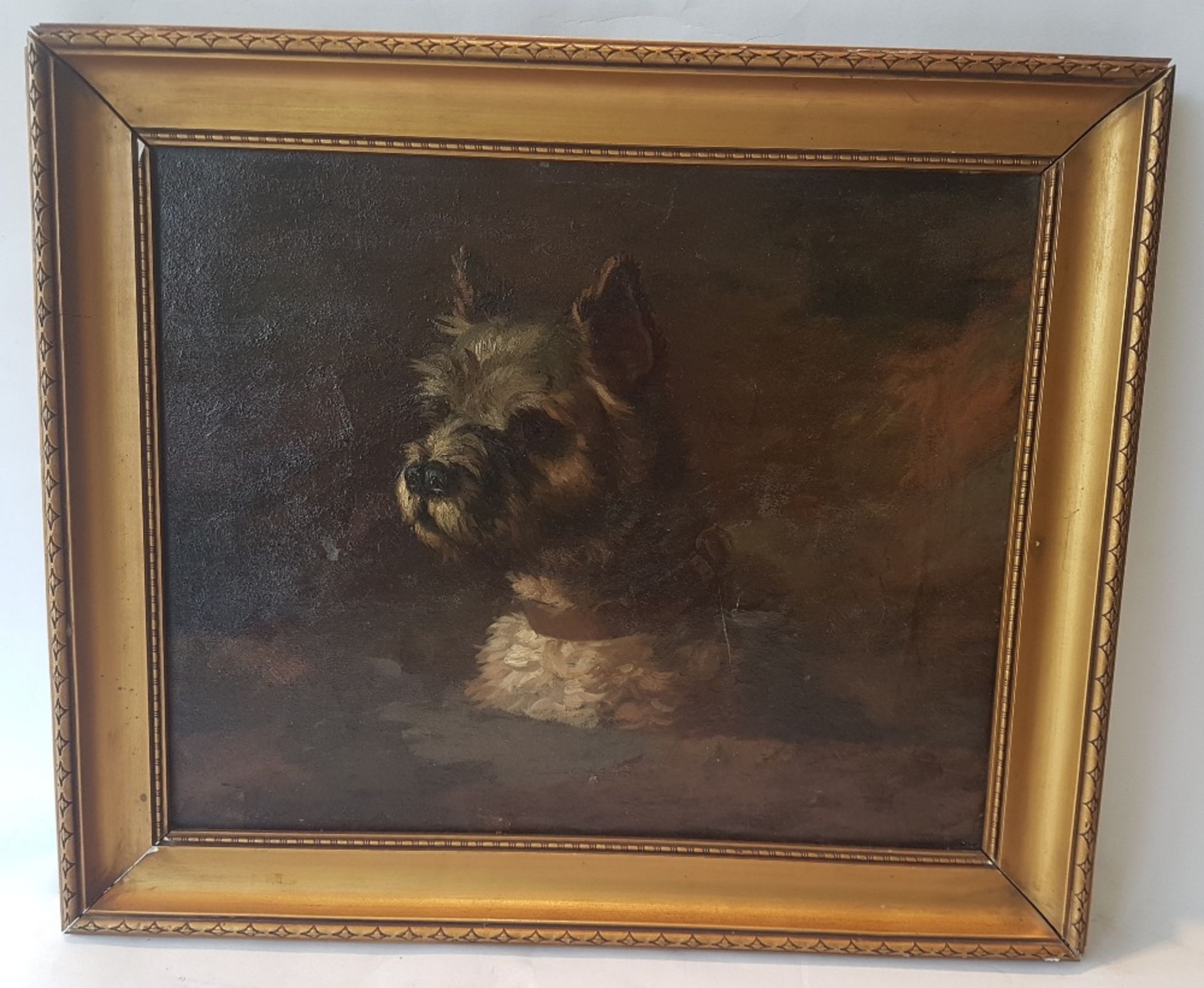 Charles Jacques (1879-1959)Portrait of a dog; Oil on canvas, inscribed 'Ch. Jacques' on the back