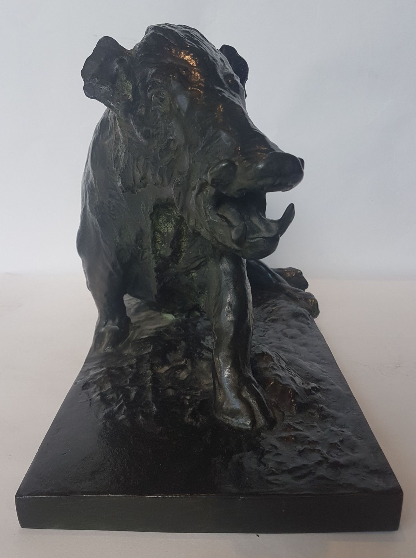 Jean Gaspar (1861-1931)Injured boar, around 1913; Bronze sculpture with dark green patina. Signed on - Image 4 of 6