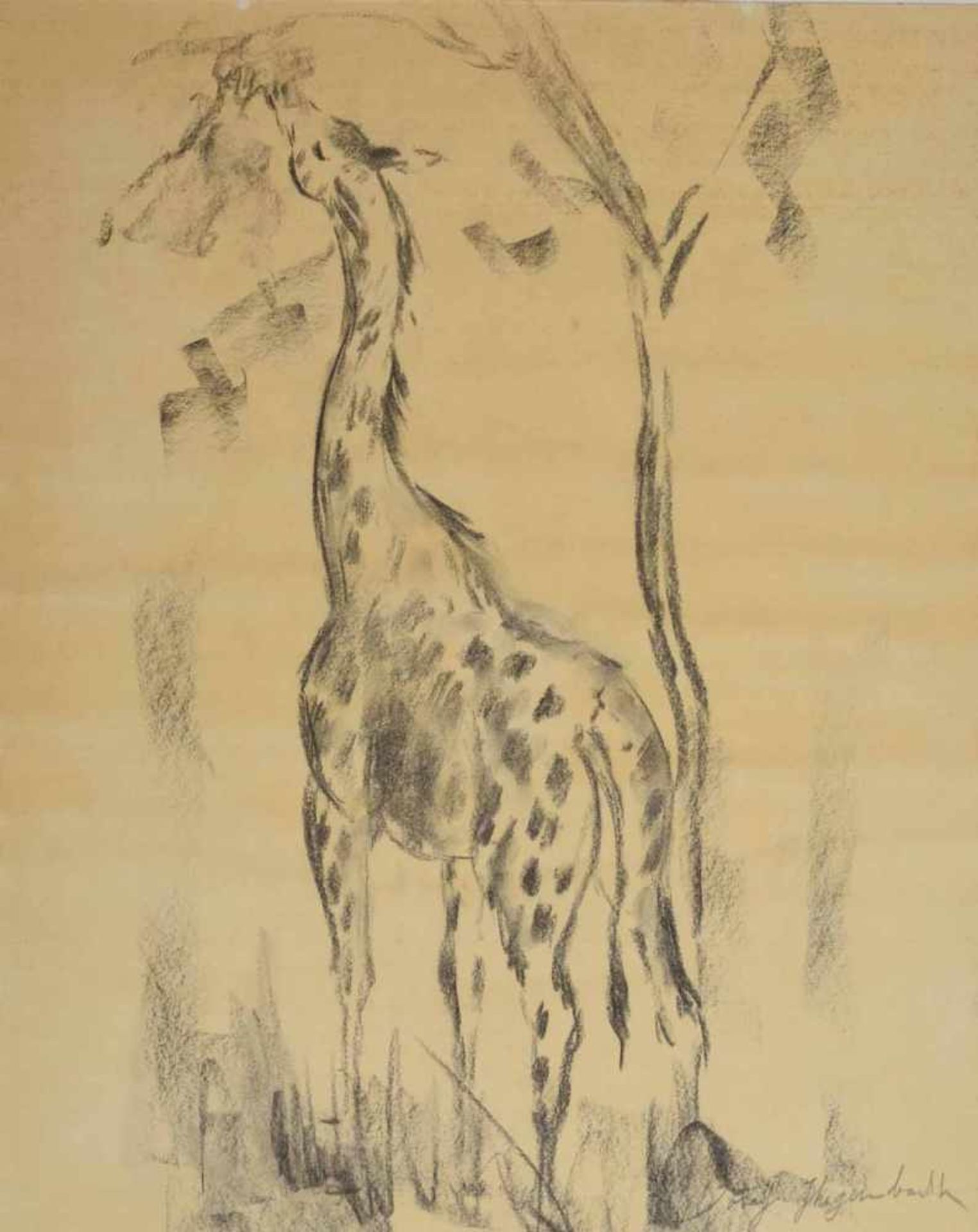 Exotische Tierzeichnung Graphit auf Papier, Giraffe, stehende Darstellung, den Kopf in das Blattwerk - Bild 2 aus 3