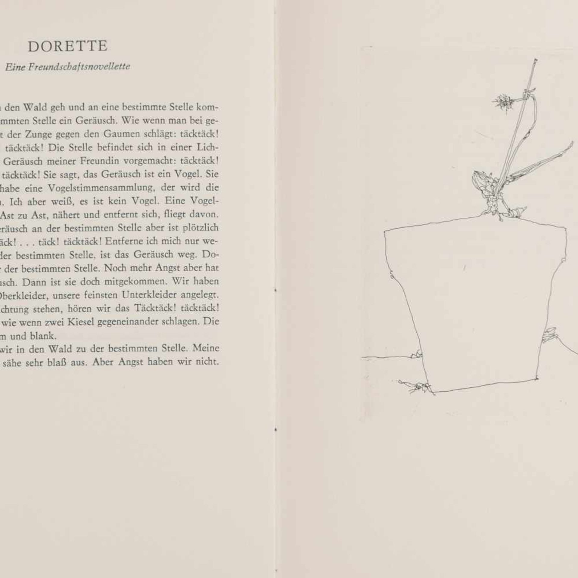 Hussel, Horst (1934 Greifswald - 2017 Berlin) Künstlerbuch, "Balsaminen. Ein Novellettenkranz",