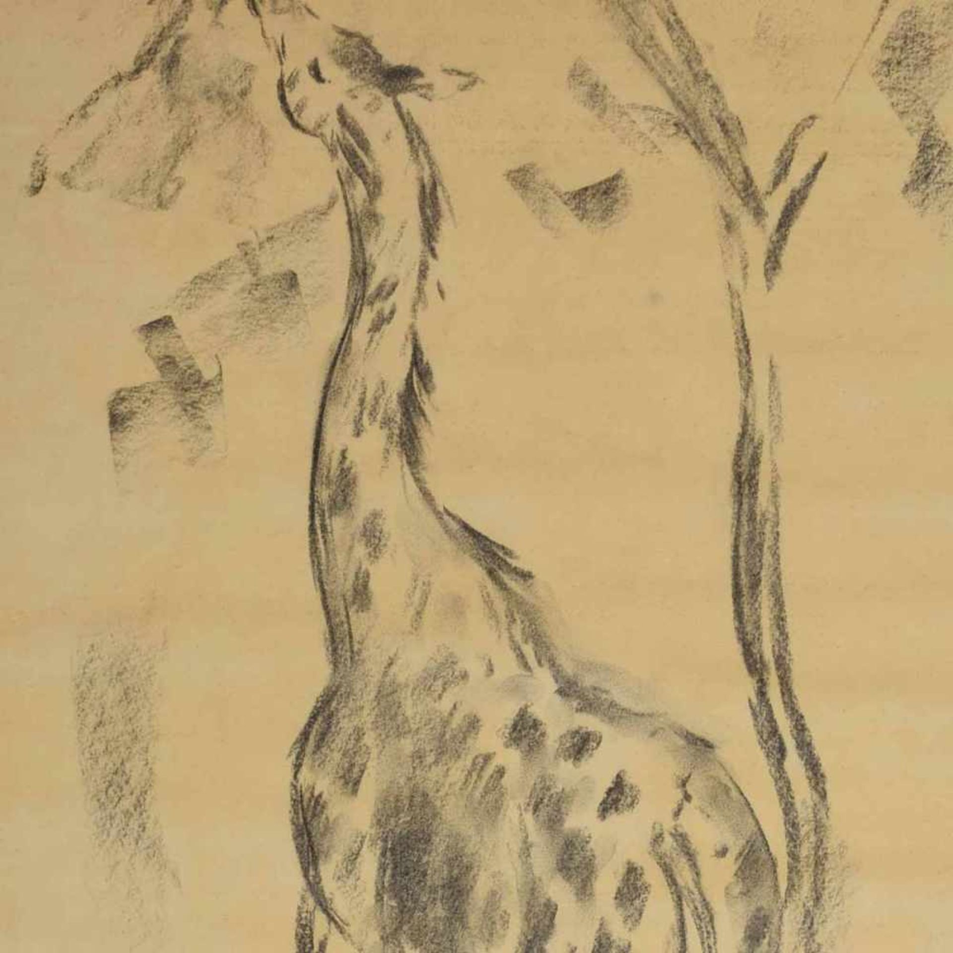 Exotische Tierzeichnung Graphit auf Papier, Giraffe, stehende Darstellung, den Kopf in das Blattwerk