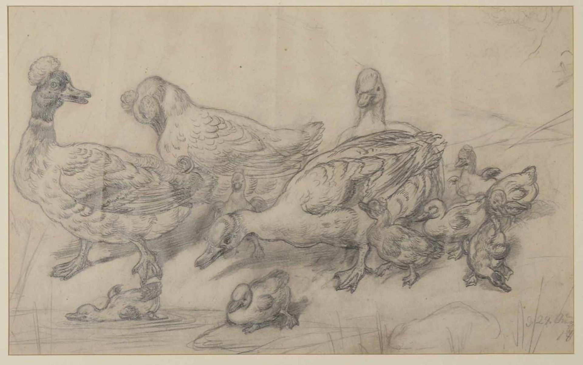 Erbe, Karl August Robert (1844 Gera - 1908 Oberlößnitz/Dresden) Graphit auf Papier, Entenfamilie - Bild 2 aus 3