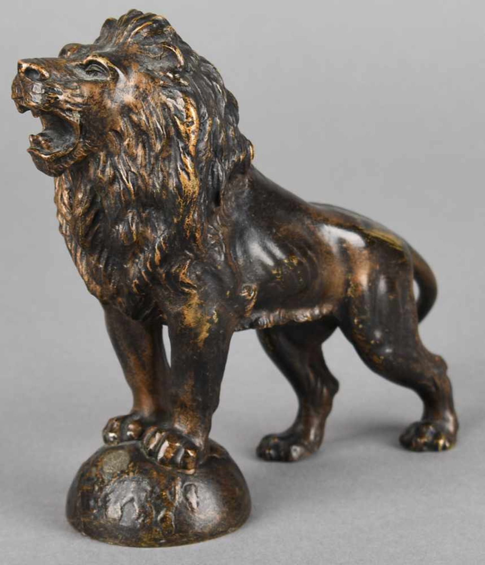 Kühlerfigur Bronze dunkel patiniert, vollplastische Darstellung eines brüllenden Löwen, mit den - Bild 2 aus 3