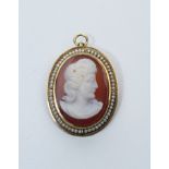 Small 14k Gold & Acrylic Carved Cameo Pin