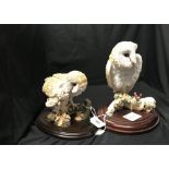 20th cent. Country Artists, 'Barn Owl on a Winter Branch', boxed. Plus 'Barn Owl Feeding Chicks',