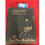 The Thomas E Skidmore Collection: Books - "The Water Babies" by Charles Kingsley illustrated by