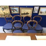 19th cent. Mahogany balloon back chairs, with carved interlocking back bar, serpentine supports x