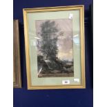 H. Barnett. Watercolour to paper, tree study. Signed lower right. Framed and glazed. 7½ins. x