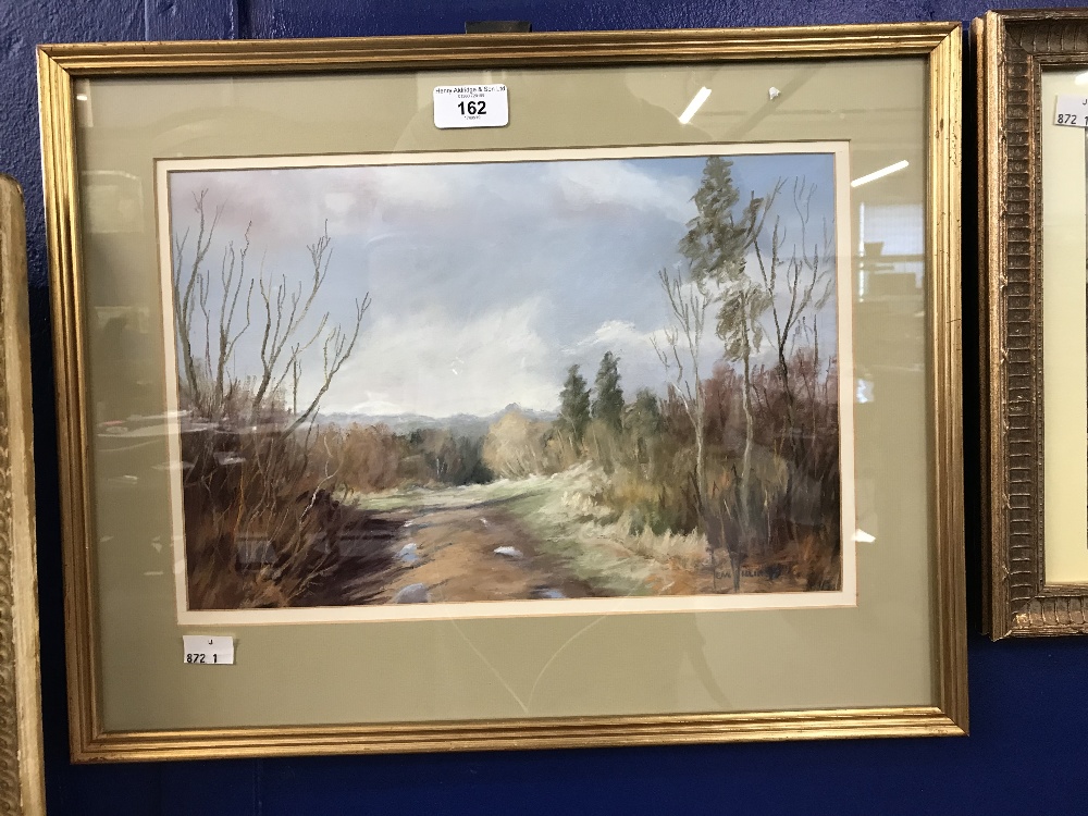 Jean Williams: Pastel 'Autumn at Seagry', signed lower right. Framed and glazed. 14ins. x 9½ins.