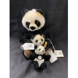 Toys: Steiff Panda, mum and baby, mohair, glass eyes, button and tag to ears of mum and baby plus