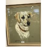 20th cent. Canadian Audrey McNaughton pastel dog portrait 'Julie', signed and dated 1963 lower left,