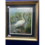 Paintings: Oil on board, Monogrammed K.W 'Swan and Cygnets'. 11½ins. x 13½ins.