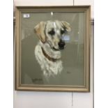 20th cent. Canadian Audrey McNaughton pastel dog portrait 'Julie', signed and dated 1963 lower left,