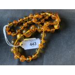 Jewellery: Clear graduated amber 48 bead necklace with inclusions.