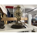 Clock: 20th cent. Brass skeleton clock chiming on the hour, treen base and circular glass dome.