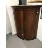 19th cent. Mahogany cylinder corner cupboard with shelves within.