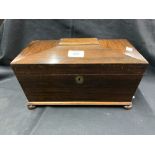 19th cent. Rosewood tea caddy of sarcophagus form. 12ins. x 6ins.