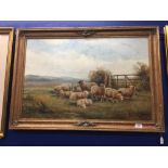 William Vivian Tippett (1830 - 1910): Oil on canvas, sheep grazing. Signed and dated bottom right.