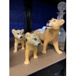 20th cent. Ceramics: Beswick golden brown lioness, gloss, model 2097 and a pair of golden brown lion