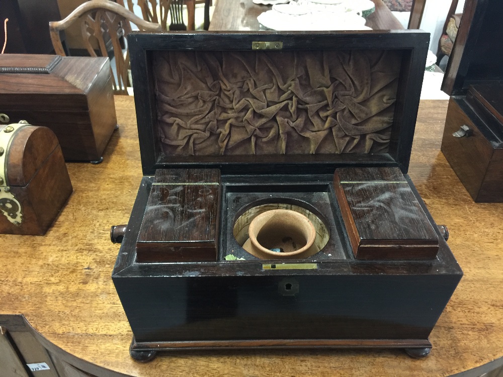 19th cent. Rosewood tea caddy of sarcophagus form. 12ins. x 6ins.