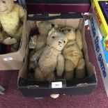 Toys: Three well loved Teddy's with glass eyes, wool noses. 13ins. 11ins and 17ins.