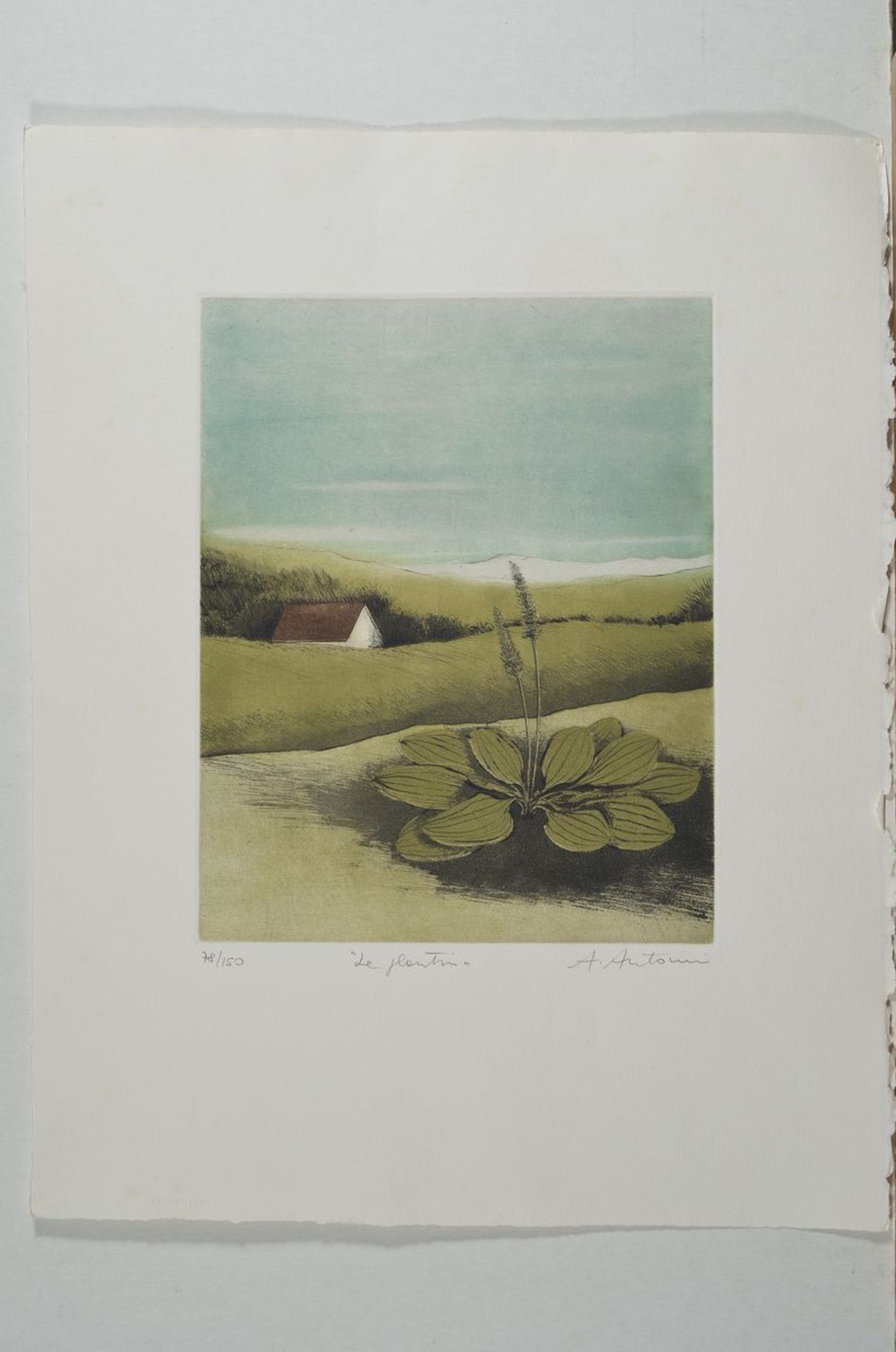 Annapia Antonini, geb. 1942, Le Plantin, Farbradierung, handsign., betitelt und num. 78/150, ca, - Bild 2 aus 2