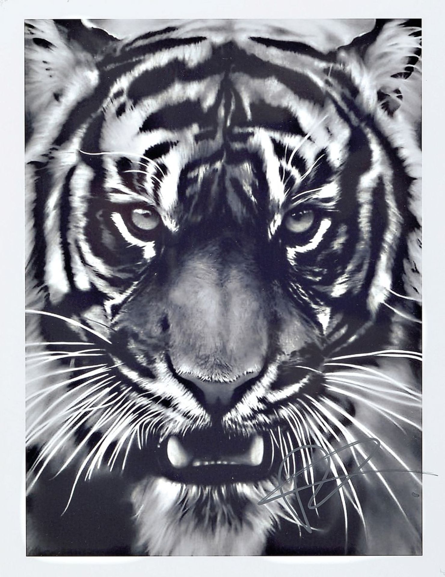 Robert Longo, geb. 1951, "Tiger", Presse Foto, nicht limitiert, handsign., zwischen doppelt