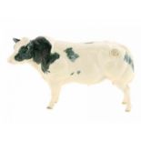 Porseleinen beeld: 'Belgian Blue Cow', Border Fine Arts, in originele doos -11 cm hoog-