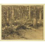 Willem Eickelberg (1845-1920), boslandschap, zwart krijttekening, gesigneerd -36,5 x 44,5 cm.-