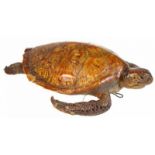 Opgezette schildpad -l. ca. 54 cm., lichte defecten-