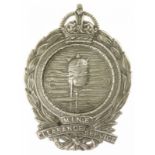 WOI, Mine Clearance Service Badge