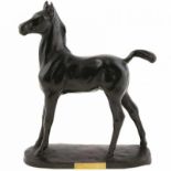 Albert Hinrich Hussmann (1874-1946), bronzen beel: 'Veulen', -21,5 x 17,6 cm, met gegraveerd