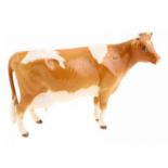 Porseleinen beeld: Guernsey Cow, model 1248B, Horns and ears together, gemerkt Beswick -10,8 cm