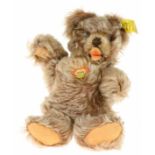 Speelgoed Steiff teddybeer: "Zotty"