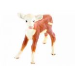 Porseleinen beeld: Hereford Calf, model 901A, mouth closed, gemerkt Beswick -9,5 cm hoog-