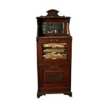 EDWARDIAN MUSIC CABINET