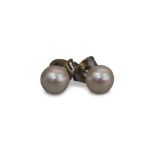 PAIR OF PEARL STUD EARRINGS