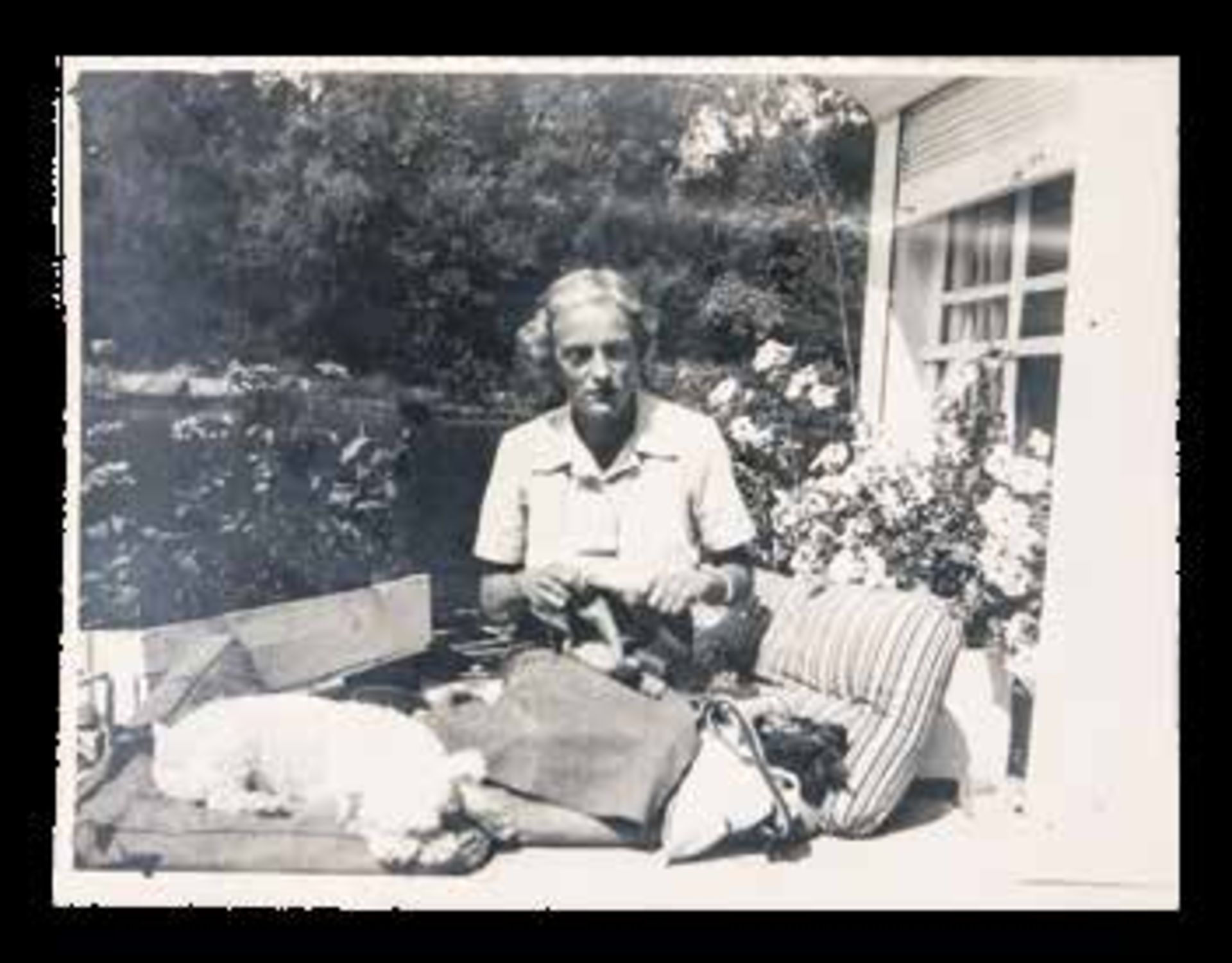 1) FÉLIX FÉLIXOVITCH, prince Youssoupoff (1887-1967) avec son chien, assis sur des [...] - Bild 4 aus 6