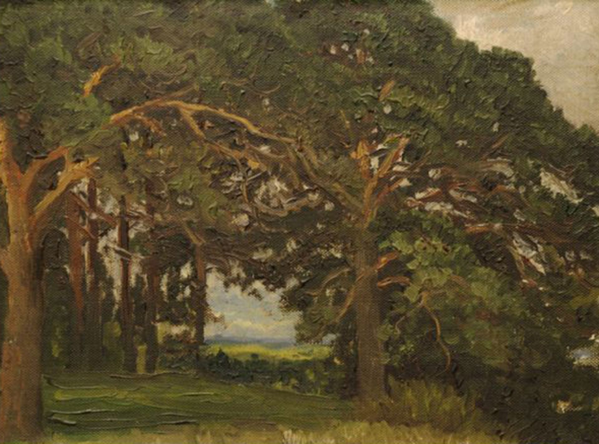 DMITRI MARTEN (1860 - 1918) - Pines, 1904 Signed (lower left) Oil on canvas laid on [...]