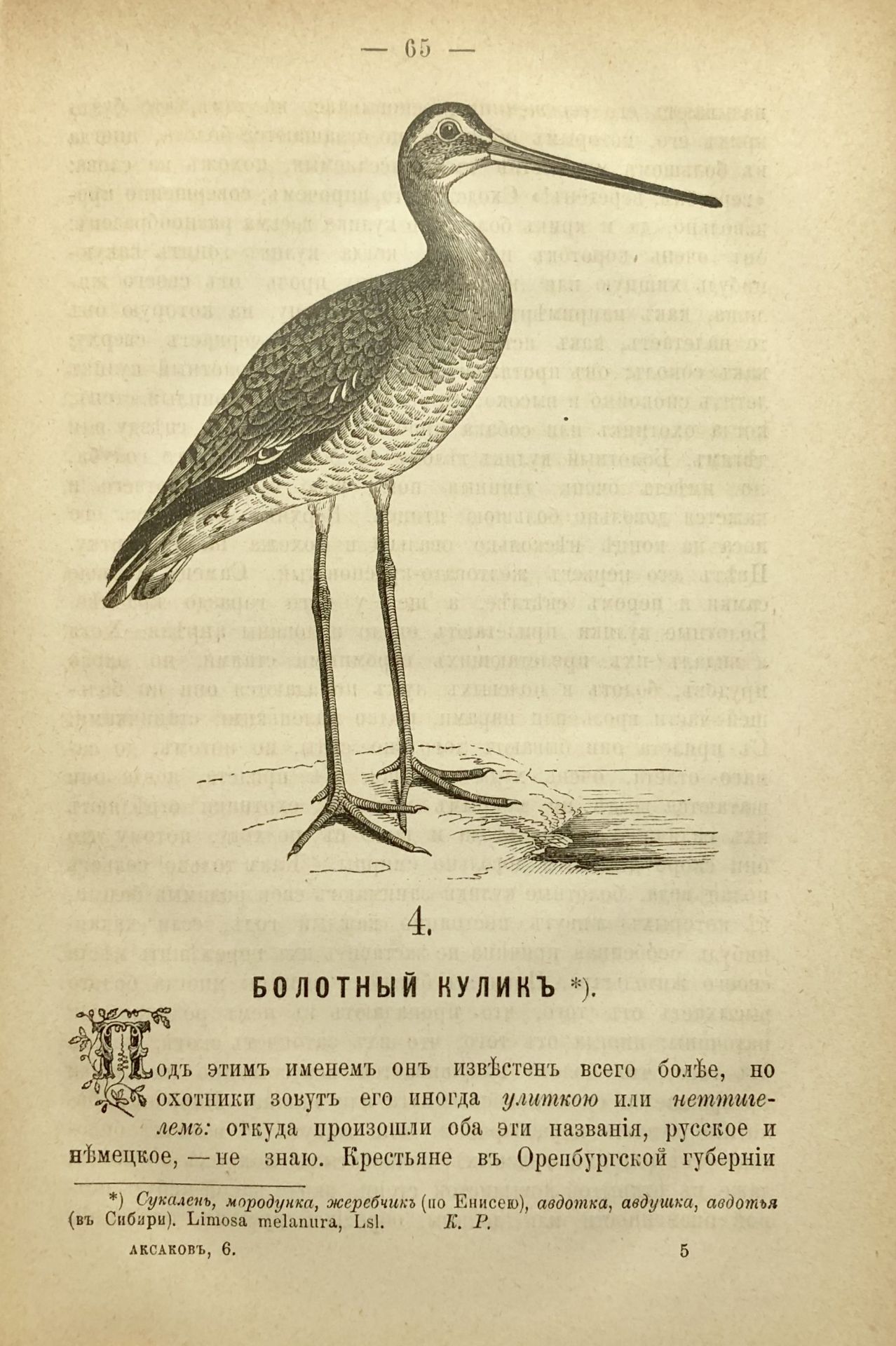 AKSAKOV, Serge. Œuvres en 6 vol. St.-Pétersbourg: N. Martynov, 1886. 4 vol. in-8°, [...] - Bild 4 aus 4