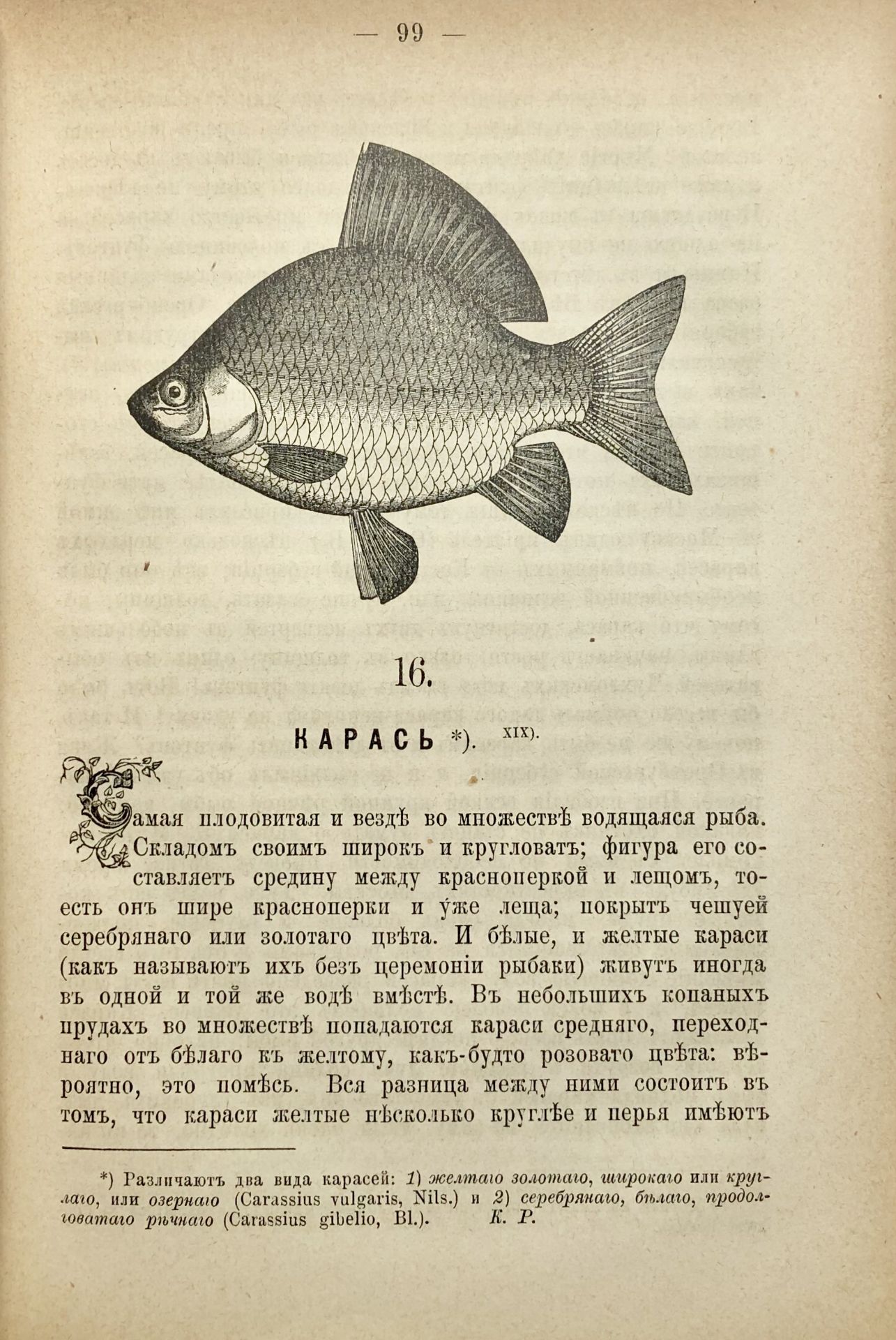 AKSAKOV, Serge. Œuvres en 6 vol. St.-Pétersbourg: N. Martynov, 1886. 4 vol. in-8°, [...] - Bild 3 aus 4